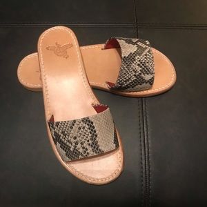 Free bird slides by Steven